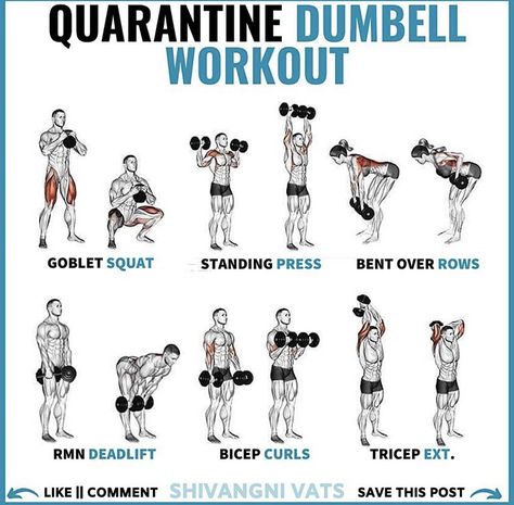 Dumbell Excersize, Dumbbell Workout Plan, Dumbbell Workout At Home, Full Body Workout Plan, Dumbbell Workouts, Full Body Dumbbell Workout, Workout Program Gym, Workout Plan For Men, Gym Workout Planner