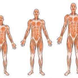 Grow Height, Tips To Increase Height, Grow Taller Exercises, Human Height, Taller Exercises, Science Cells, Form Follows Function, Grow Taller, Ap Biology