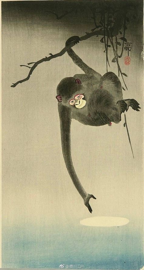 Chinese Traditional Painting Monkey Ukiyo-e Japanese Monkey, Artistic Composition, Chinese Traditional Art, Monkey Monkey, Monkey Illustration, Ohara Koson, Monkey Art, Japanese Illustration, Japanese Woodblock