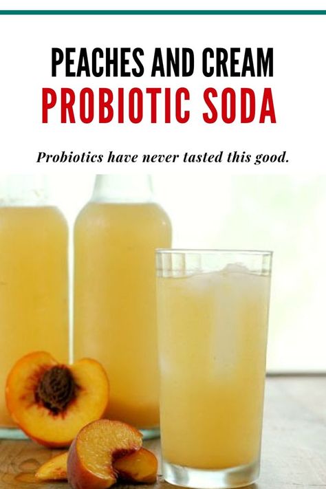 Fermented Peaches, Kefir Bread, Fermented Drinks, Fermented Bread, Ginger Bug, Endo Diet, How To Make Water, Homemade Soda, Probiotic Drinks