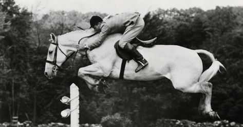 Harry deLeyer, 93, Dies; He Saved a Horse and Made Him a Legend - The New York Times Snowman Horse, Lippizaner, Spanish Riding School, Jumping Horse, Show Jumping Horses, Horse Dressage, Horse Fly, Horse Names, Work Horses