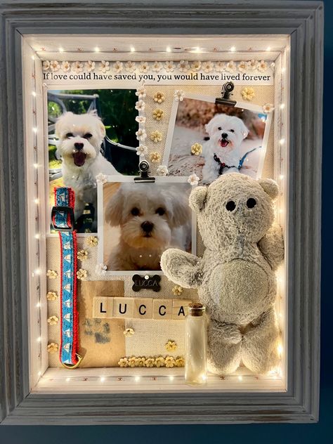 Memorial Box For Dogs, Shadow Box Ideas Dog Pet Memorials, Shadow Box For Pets Memorial, Diy Dog Loss Gift, Memorial Shadow Box Ideas Pets, Dog Remembrance Ideas Collar, Pet Memory Box Ideas, Dog Memorial Box Ideas, Dog Toy Memorial