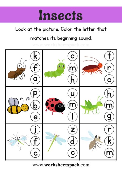 Free Sea Animal Beginning Sound Worksheet Printable for Kids - worksheetspack Insects Worksheets For Kindergarten, Insect Worksheets Kindergarten, Insects Worksheets Preschool, Insect Worksheets Preschool, Insect Worksheet, Word Work Kindergarten, Shapes Worksheet Kindergarten, Phonics Worksheets Free, Bugs Preschool