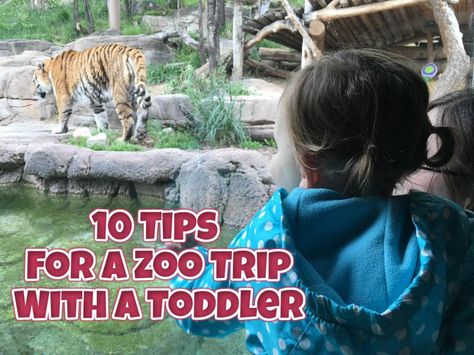 Zoo Day Packing List, Zoo Packing List, What To Pack For Zoo Trip, Zoo Essentials, Zoo Trip Outfit, Cute Zoo Outfits Summer, Packing Lunch For Zoo Trip, Zoo Trip, Zoo Day