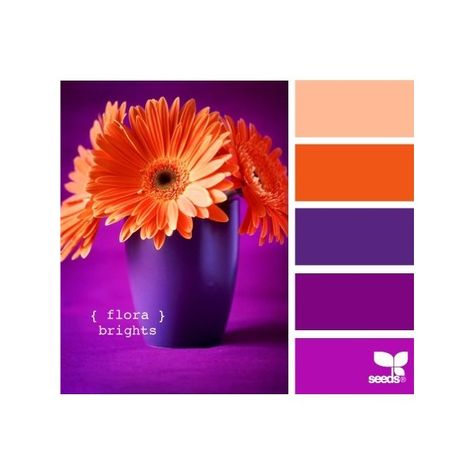 The Wedding! / oranges and purples ❤ liked on Polyvore Seeds Color, Color Schemes Colour Palettes, Color Palate, Design Seeds, Color Stories, Color Wheel, Colour Schemes, Color Pallets, Color Swatches