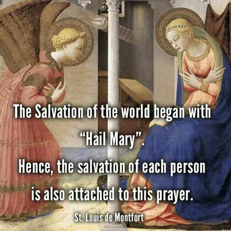 Hail Mary Helping Quotes, Mother Mary Quotes, Virgin Maria, St Louis De Montfort, Traditional Catholicism, Catholic Beliefs, Sowing Seeds, Daughter Of The King, Saint Quotes Catholic