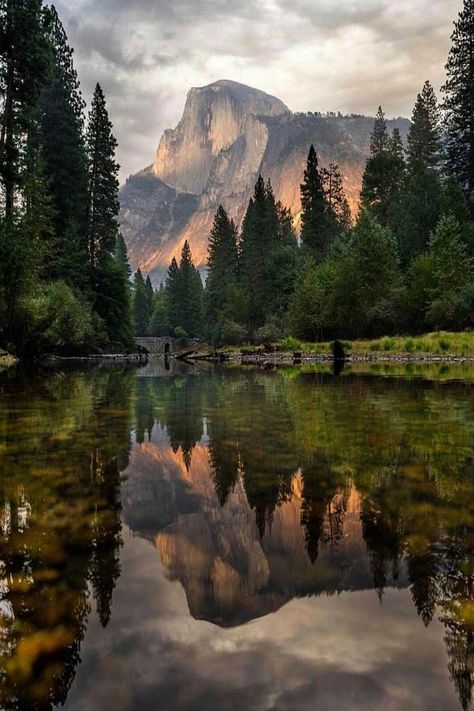 Jul 9, 2018 - This Pin was discovered by Vlad Chernyshev. Discover (and save!) your own Pins on Pinterest Mountains And Trees, Merced River, Paint Crafts, Matka Natura, Fotografi Alam Semula Jadi, Yosemite Valley, Alam Semula Jadi, Yosemite National, Yosemite National Park