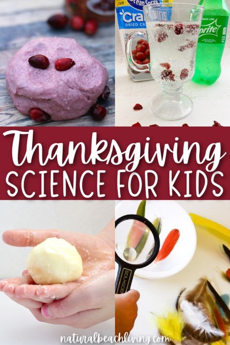 23+ Thanksgiving Science and STEM Activities - Natural Beach Living Thanksgiving Themed Science Experiments, Family Themed Science Activities, Native American Science Activities, Science Thanksgiving Activities, Thanksgiving Science Experiments Kids, Thanksgiving Experiments For Kids, Turkey Stem Activities, Stem Thanksgiving Activities, November Science Experiments For Kids