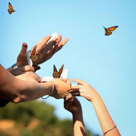 A Butterfly Release. #Monarch #Butterfly #Wedding Butterfly Proposal, Monarch Butterfly Wedding Decorations, Monarch Butterfly Release Wedding, Releasing Butterflies, Butterfly Release Memorial, Butterfly Release Wedding, Releasing Butterflies At Wedding, Butterfly Release, Butterfly Sanctuary