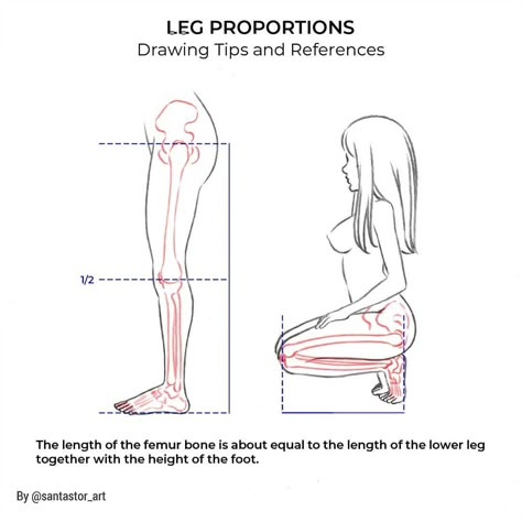 Leg Proportions, Proportions Drawing, General Anatomy, Drawing Bodies, Anatomy Female, Disney Character Drawings, Sitting Pose, Animation Sketches, Body Reference Drawing