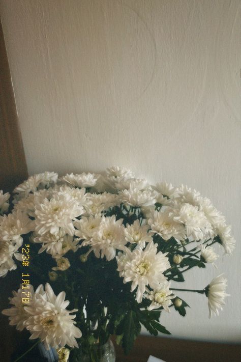 Crysantenum Flower Aesthetic, Chrysanthemums Aesthetic, Chrysanthemum Flower Aesthetic, Chrysanthemum Aesthetic, Chrysanthemum Wallpaper, Chrysanthemum Bouquet, White Chrysanthemum, Boquette Flowers, Nothing But Flowers