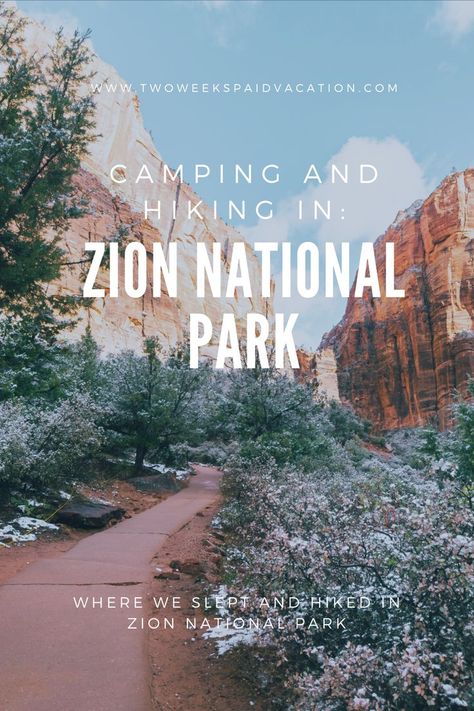 Camping Zion National Park, Zion National Park Camping, Zion Camping, Zion National Park Photography, Zion National Park Hikes, Carlsbad Caverns National Park, Utah Vacation, National Park Camping, Utah Adventures