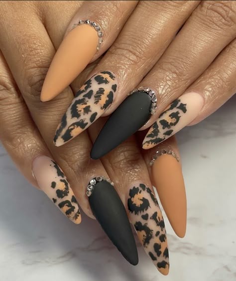 Fall Zebra Print Nails, Cheetah Print New Years Nails, Jaguar Nail Designs, Brown Leopard Print Nails, Leopard Pumpkin Nails, Black Nails With Cheetah Print, Fall Animal Print Nails, Fall Leopard Print Nails, Orange Leopard Nails