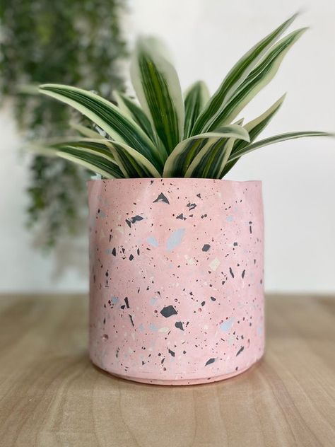 Terrazzo Planter, Cement Pots Diy, Planter Outdoor, Pots Diy, Cement Design, Concrete Candle, Pothos Plant, Cement Pots, Outdoor Planter