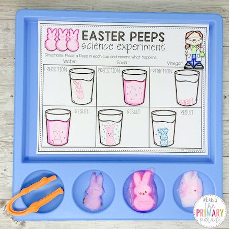 Peeps Science Experiment 🐰 If you haven't done a science experiment with Peeps yet, you're missing out! This fun science activity is sure to get your little ones excited during your Easter themed lessons. Be sure to gather the following items: 🐰 My science experiment worksheet (3 variations are included) 🐰 3 Peeps 🐰 1 cup of water 🐰 1 cup of soda 🐰 1 cup of vinegar Grab this printable from my shop (link in bio) or hit the ribbon to save this post for Peeps Science Experiment, Easter Science Experiments, Fun Easter Activities, Easter Math Activities, Easter Stem, Easter Science, Easter Activities For Preschool, Winter Science Experiments, Easter Classroom