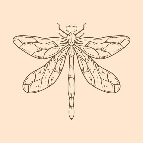 Dragonfly Outline, Frog Outline, Oracle Art, Dragonfly Illustration, Dragonfly Drawing, Butterfly Outline, Beautiful Dragonfly, Outline Images, Shrink Art