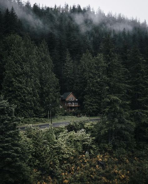 Appalachian Mountains Creepy, Forests Houses, Cabins Aesthetic, Scottish Forest, Scottish Aesthetic, House In Forest, Forest Houses, Cabin Mountain, Delta Green