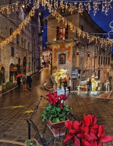 WORLD 2024 🌊 (@W0rld2K24) on X Assisi Italy, Christmas In Italy, Christmas In Europe, Italy Aesthetic, Naples Italy, Christmas Travel, European Art, Umbria, Greece Travel