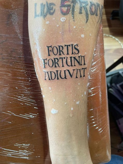 It's a tattoo Fortis Fortuna Adiuvat Tattoo Arm, Fortis Fortuna Adiuvat Tattoo, Fortis Fortuna Adiuvat, Arm Tattoo, Small Tattoos, Tattoos, Pins, Arm Tattoos