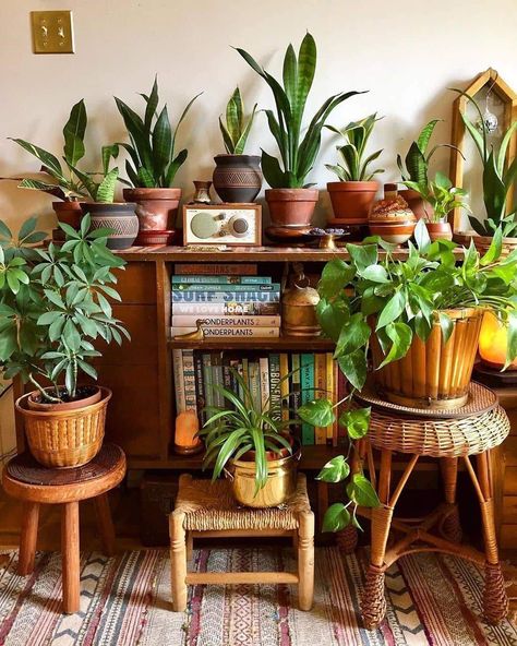 Thrifted Home, Thrifted Home Decor, House Plants Decor, Room With Plants, Bohemian Home, Bohemian Decor, 인테리어 디자인, Plant Decor, Plant Care