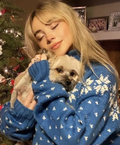 Sabrina Carpenter Christmas, The Addams Family, Christmas Icons, Addams Family, Wednesday Addams, She Song, Winter Aesthetic, Profile Photo, Girl Crush