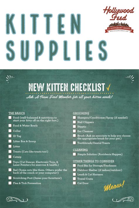 Kitten Organization Ideas, Things You Need For A Kitten, Bringing A Kitten Home, Raising A Kitten Tips, How To Raise A Kitten, Kitten Supplies List, Bringing Home A New Kitten, New Kitten Essentials, Kitten Essentials List