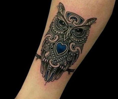 Celtic Owl Tattoo Design, Celtic Owl Tattoo, Celtic Tattoo For Women, Traditional Owl Tattoos, Realistic Owl Tattoo, Tattoo Healing, Celtic Owl, Cute Owl Tattoo, Celtic Tattoo Designs