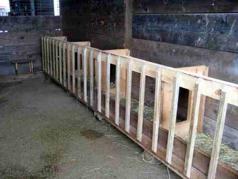 Sheep Feeders, Goat Hay Feeder, Sheep Fence, Hay Feeder For Horses, Cattle Feeder, Goat Feeder, Weekend Routine, Goat Shed, Feeding Goats