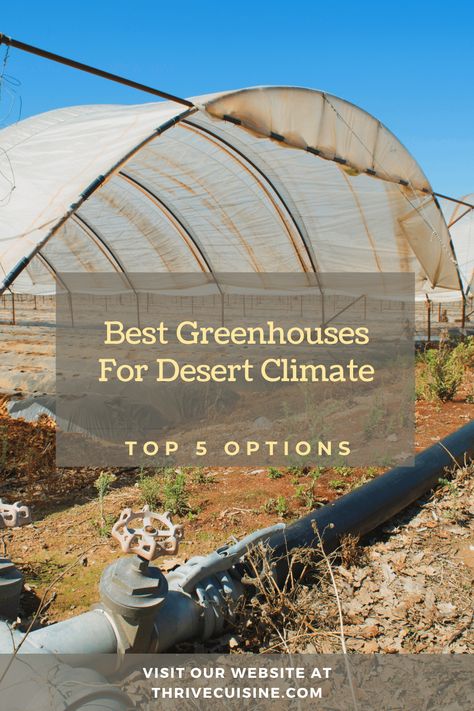 In this guide, we’ll discuss the best greenhouses for a desert climate. We’ll also explain why we chose each one, so you understand how to pick a desert greenhouse of your own. We will show you the advantages and disadvantages of the greenhouses for desert climates. Greenhouse In The Desert, Desert Homesteading, Desert Greenhouse, Desert Homestead, Desert Farm, Backyard Redesign, Arizona Garden, Homestead Layout, Desert Gardening