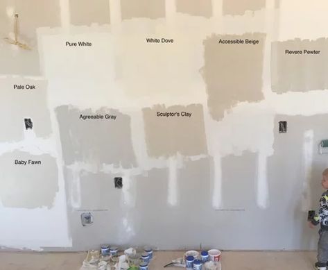 Will agreeable gray be too dark? Greige Walls, Anew Gray, Worldly Gray, Beige Paint Colors, Edgecomb Gray, Greige Paint Colors, Greige Paint, Accessible Beige, Beige Paint