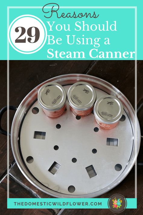 29 Reasons You Should Be Using a Steam Canner | Read this super helpful post that explains all about the hot new technology in the canning world that's perfect for beginners! There's even a free fact sheet & equipment list! Steam Canning, Summer Canning, Canning For Beginners, Creative Ways To Save Money, Canning Salsa, Canning Process, Canning 101, Canning Tips, Garden To Table