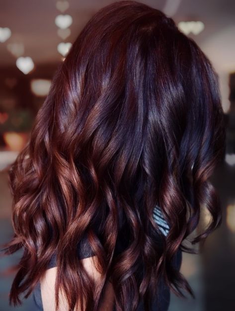 Chilli Chocolate Hair Colour, Side Braids Hairstyles, Down Ponytail, Black Cherry Hair Color, Hair Glaze, Black Cherry Hair, Ponytail Ideas, Cherry Hair Colors, Dream Salon