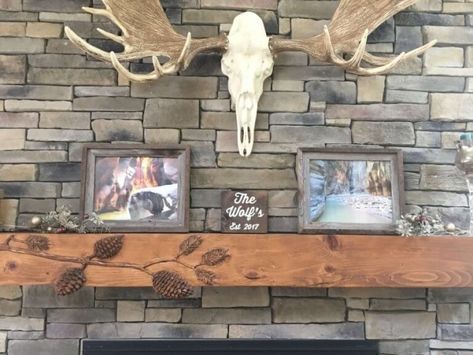 MSET5 Moose Mount, European Mount Ideas, Property Entrance, Horn Designs, European Mounts, Alaskan Moose, Taxidermy Decor, European Mount, Animal Taxidermy