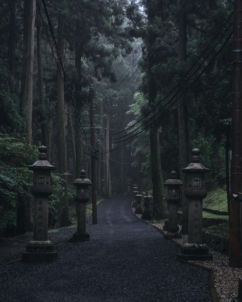 Rainy Japan, Enryakuji, St Street, Temple Photography, Japanese Temple, Travel Savings, Japan Aesthetic, Shiga, Kyoto Japan