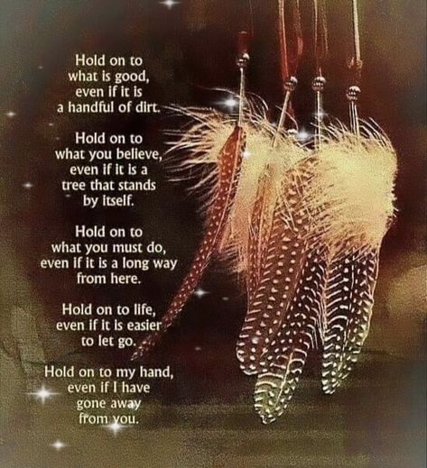 Native Wisdom, Native Quotes, American Indian Quotes, Empath Abilities, American Proverbs, Native American Prayers, Native American Proverb, Native American Spirituality, Native American Wisdom