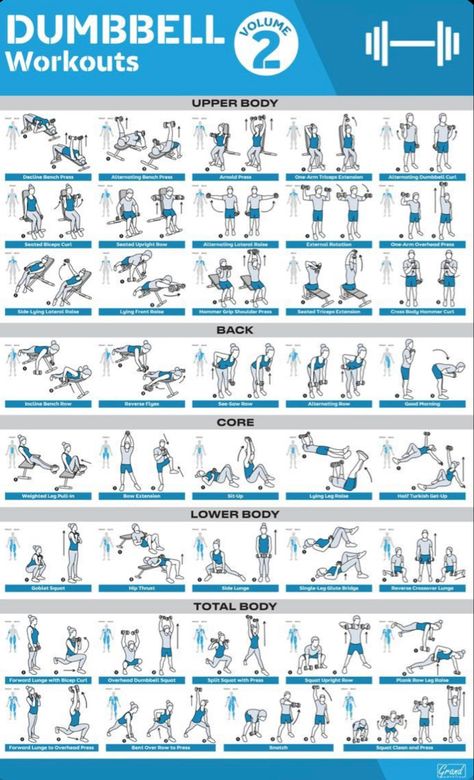 Hand Weights For Beginners, Exercise List, Fitness Posters, Dumbbell Exercises, Bench Workout, Printable Workout, Full Body Cardio, Medicine Ball Workout, Gym Poster