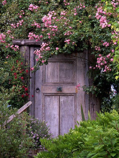 Add a little mystery to your garden. Secret Garden Door, Pergola Retractable, Conservatory Garden, Shabby Chic Garden, Pergola Ideas, Retractable Canopy, Upcycle Garden, Flowers And Greenery, Secret Door