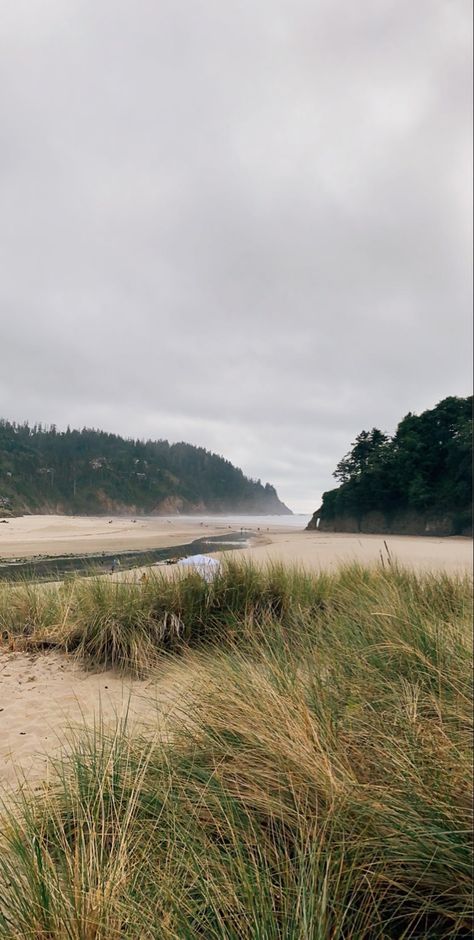 Oregon Nature Wallpaper, Aesthetic Oregon Pictures, Forest Beach Aesthetic, Pnw Coast Aesthetic, Oregon Coast Photos, Oregon Girl Aesthetic, Oregon Aesthetic Wallpaper, Seaside Oregon Aesthetic, Oregon Travel Aesthetic