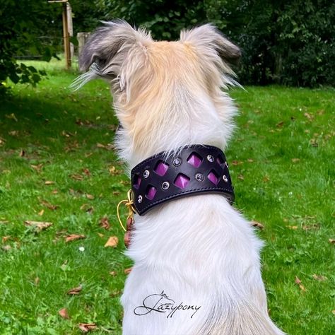 "Thank you so much for the beautiful collar! Thank you for the beautiful craftmanship. We are "Thank you so much for the beautiful collar! Thank you for the beautiful craftmanship. We are very happy with it!"  MaaikeB
 #lazyponyes #etsyseller #saddlerylazypony #leathercraft #houndcollar #houndcollars #houndcollarlove #dogcollars #dogcollar #dogcollarshop #dogcollarsforsale #dogcollaraddict #dogcollarshandmade #dogcollarhandmade #dogcollaraccessories #dogcollarsofinstagram Dog Equipment, Beautiful Stones, Leather Collar, Handcrafted Leather, Dog Harness, Very Happy, Thank You So Much, Leather Craft, Dog Collar