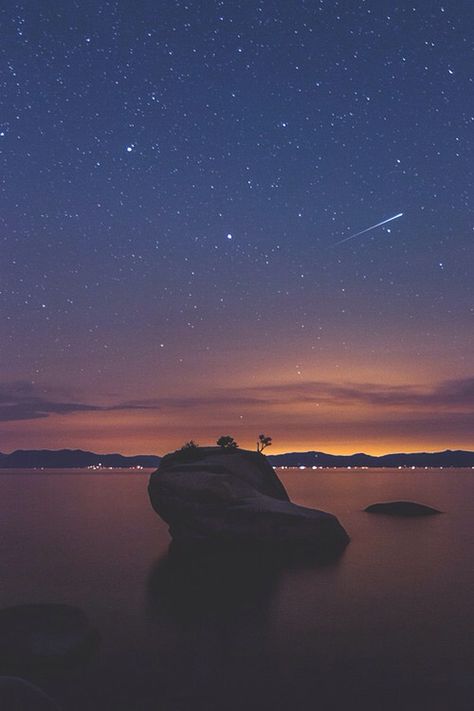 Cielo stellato Cielo Stellato Aesthetic, Star Sky, Travel Lover, Dark Horse, Amazing Nature, Night Skies, Astronomy, Bonsai, Landscape Photography