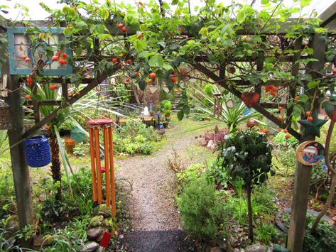 Bealtaine Cottage, Cottage Ireland, Inspiring Gardens, Scotland Culture, Irish Kitchen, Dublin Ireland Travel, County Cork Ireland, Irish Cottage, Ireland Landscape