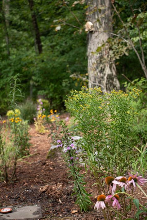 The Start of Our Native Pollinator Garden — root & dwell Native Pollinator Garden, Summer Reading Challenge, Bee Hotel, Hummingbird Garden, Pollinator Garden, Local Library, Year One, Water Sources, Garden Backyard