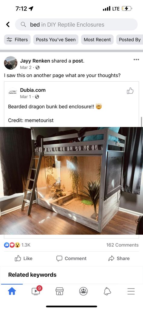 Bearded Dragon Home Ideas, Reptile Terrarium Furniture, Homemade Snake Enclosure, Bearded Dragon Enclosure Ideas Dresser, Built In Reptile Enclosure, Live Plant Reptile Terrarium, Dumerils Boa Enclosure, Terrarium Stand Reptile, Diy Iguana Enclosure Indoor