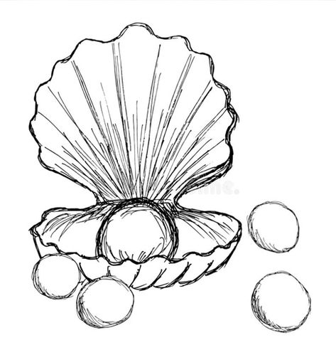 Simple Sea Shell Drawing, Shell Drawings Simple, Animal Sketchbook Ideas, Sea Creatures Sketch Drawings, How To Draw A Starfish Step By Step, Sea Creatures To Draw, Tenticals Drawing Reference, Ocean Animals Sketch, Drawing Ideas Sea Animals