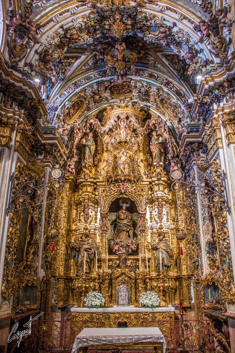 Orthodox Cathedral, Orthodox Catholic, Church Aesthetic, Portuguese Culture, Cathedral Architecture, Cathedral Church, Baroque Architecture, Gold Aesthetic, Church Architecture