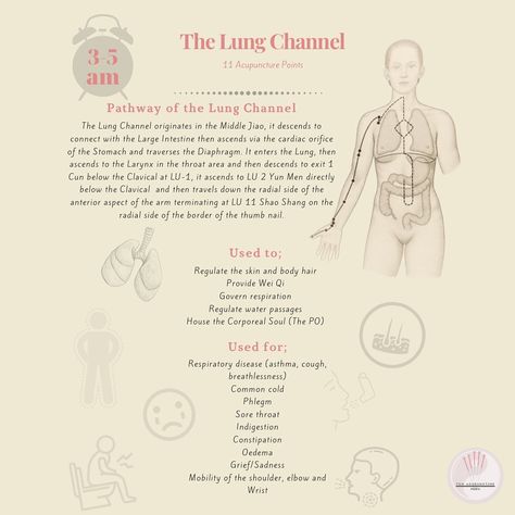 Lung Meridian Pressure Points, Meridian Channels, Lung Meridian, Accupuncture Points, Chakra Energy, Acupuncture Points, Large Intestine, Qi Gong, Pressure Points