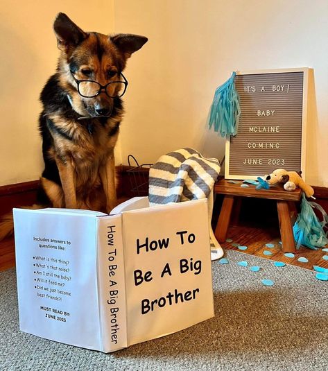 How To Be A Big Brother, How To Be A Big Brother Announcement, Baby 2 Announcement, Second Baby Announcements, Announcement Photoshoot, Big Brother Announcement, Baby Announcement Photoshoot, Pregnancy Pics, Maternity Photography Poses Pregnancy Pics