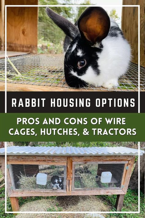 When you decide to start raising meat rabbits, the first thing you’ll have to do is set up some sort of rabbit housing. The main options are wire cages, hutches, colonies, and tractors. Here are some pros and cons of some of these options based on my own experiences. Wire Rabbit Cages, Raising Meat Rabbits, Rabbit Hutch And Run, Rabbit Wire, Diy Rabbit Cage, Raising Rabbits For Meat, Show Rabbits, Rabbit Habitat, Female Rabbit