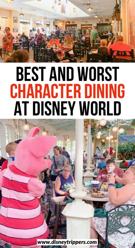 Disney Character Dining 2023, Disney World Character Dining 2022, Disney Ideas Diy, Disney World Character Dining 2023, Disney Dining 2023, Where To Find Characters At Disney World, Disney Character Dining 2024, Disney Character Meals 2023, What To Eat At Disney World