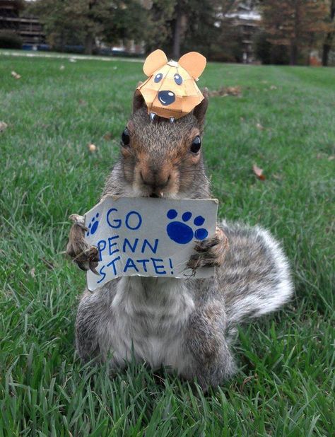 Penn State College, Tiny Hats, Secret Squirrel, College Vision Board, Penn State Football, College Football Teams, Miniature Accessories, Penn State University, Dream College